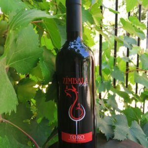 Vino tinto denominacion de origen Toro